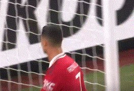 1666907365849032932.gif 动画 (4467).gif